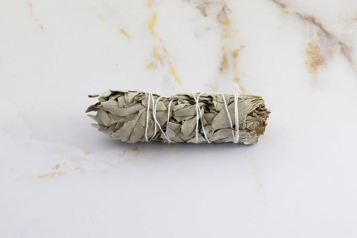 sauge blanche naturelle en ballotin
