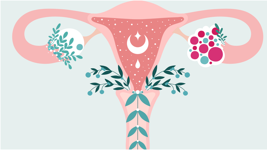 Illustration d'un utérus fleuri